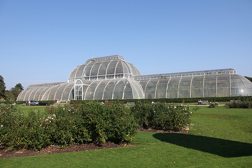 Palm House
