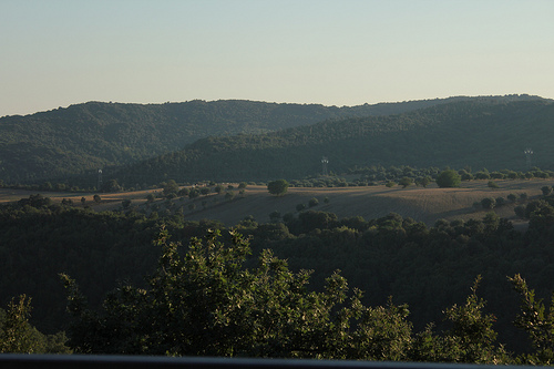 Colline laziali