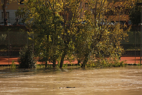 Tevere in piena