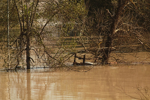 Tevere in piena
