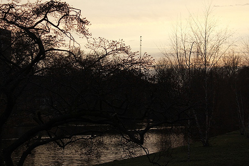 Al tramonto: giochi di luce