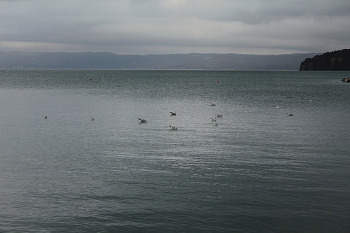 Lago di Bolsena