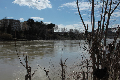 Punti di vista: Ponte Milvio