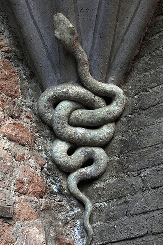 Casina delle civette: serpente