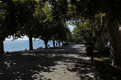 Trevignano