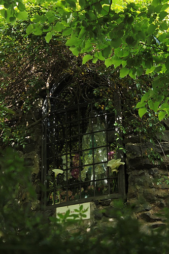 Madonna nascosta dalla vegetazione