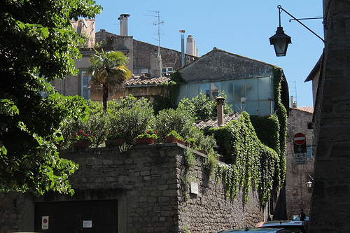 Il verde nella città.