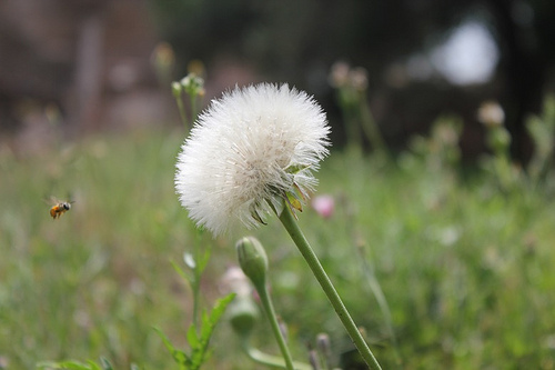 lo spettacolo della natura