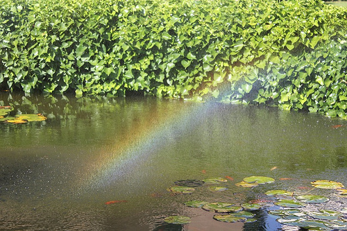 L’orto botanico di Pisa