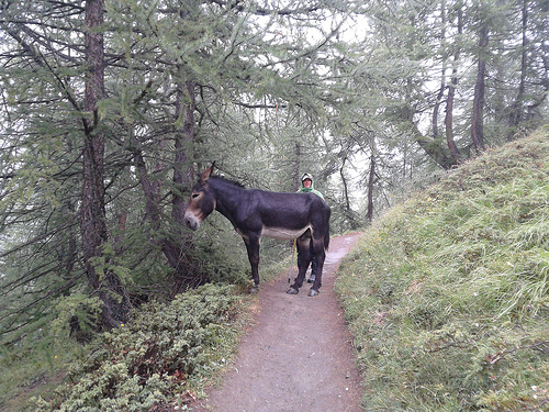 e poi lui, ditro l'angolo, ci sbarra la strada
