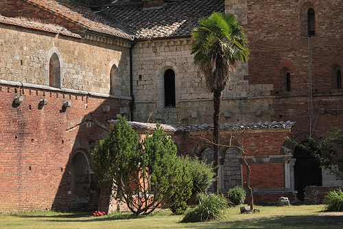 particolare del giardino esterno