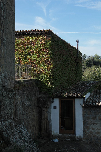 casa ed edera