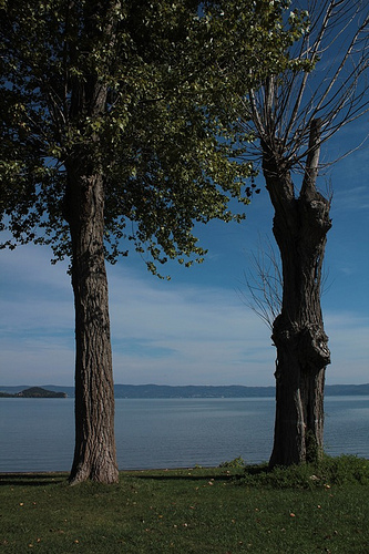 Capodimonte: ammirando il lago di Bolsena