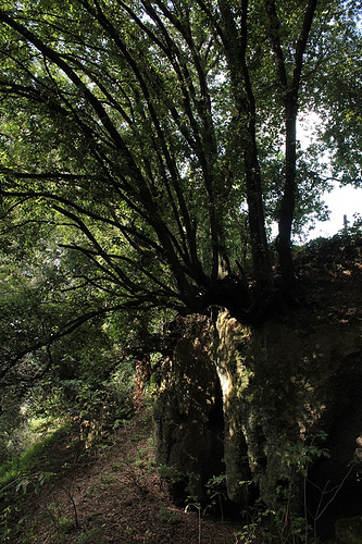 Lazio: una passeggiata nel Parco di Veio