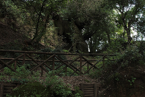 scorcio del parco