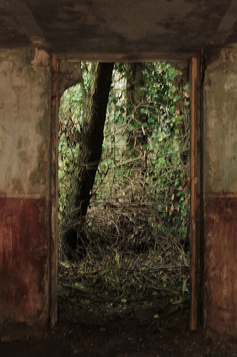 antico mulino: interni