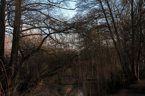 Tiergarten