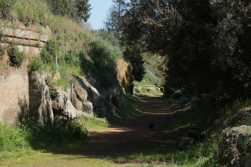 Necropoli della Banditaccia