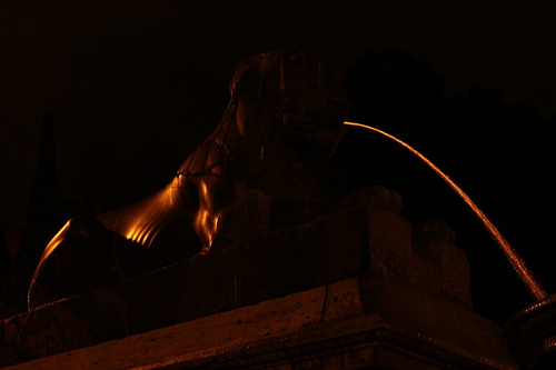 Leone e giochi di luci