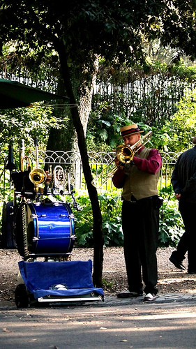 Musicista in villa