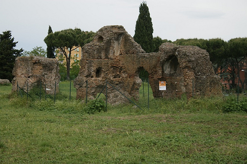 Alcuni dei primi resti