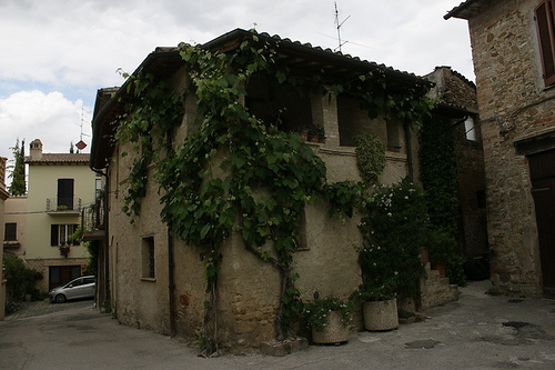 Bevagna: palazzi in fiore