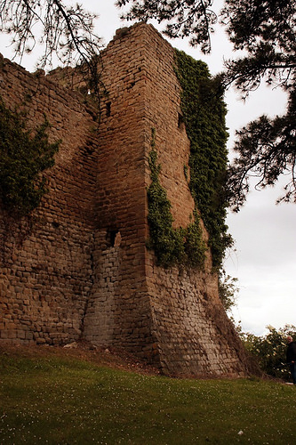 San Ginesio: edera lungo le mura