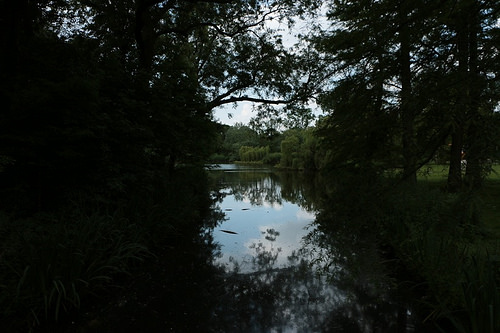 Vondelpark: uno dei tanti laghetti
