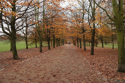 Il parco di Greenwich