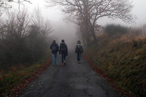 Passeggiata lungo la via Franicgena