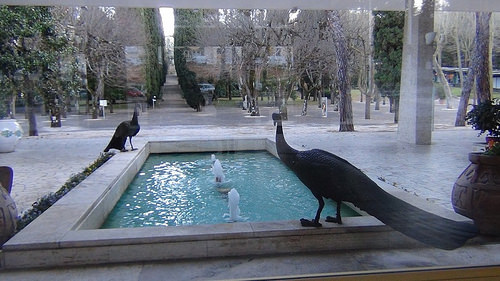 Terme sensoriali: fontana all'ingresso