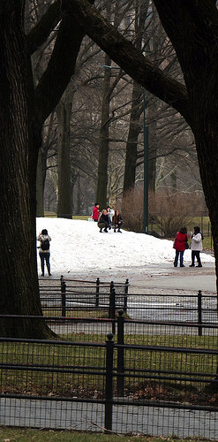 Central Park ancora con la neve