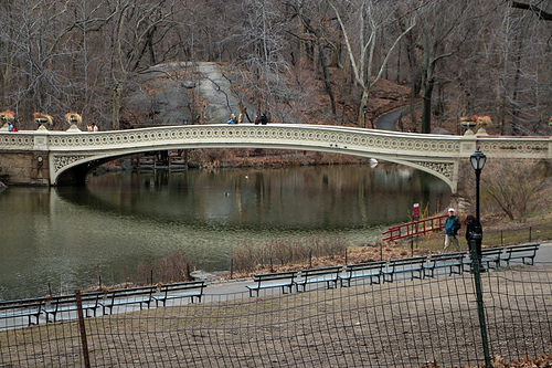 Central Park: uno dei ponti e dei laghetti
