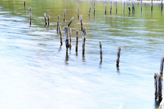 Il Lago di Fogliano