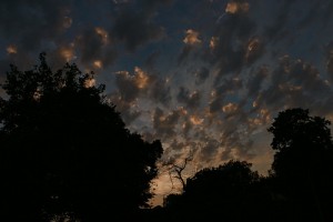 Tramonto anversano