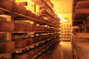 Pecorino "Riserva del Fondatore"