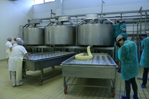 Come si prepara il pecorino