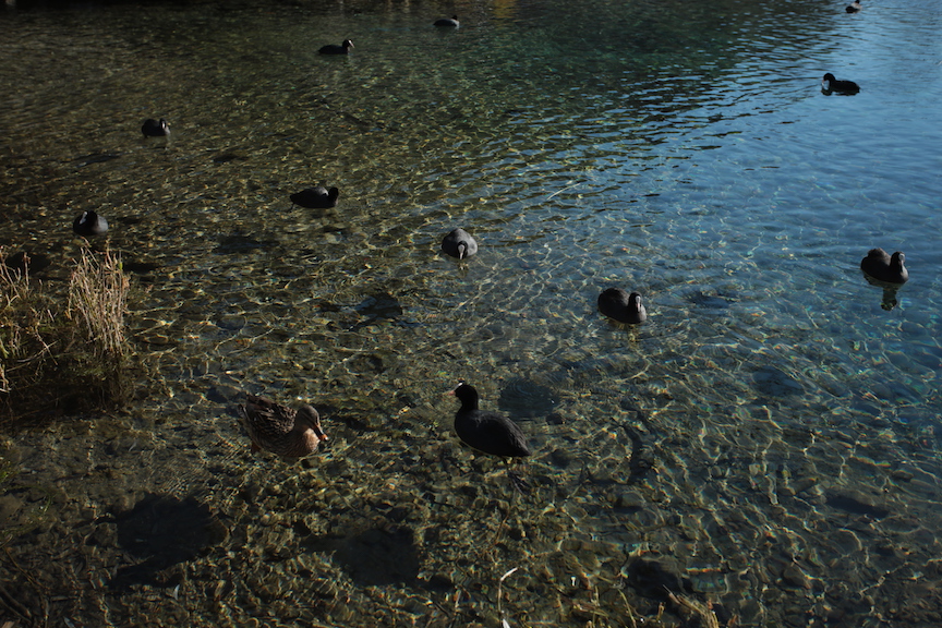 Posta Fibreno’s lake – Surroundings of Rome