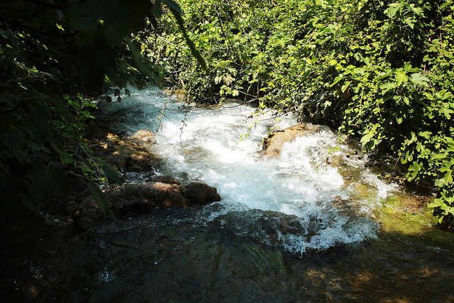 Dalmatia: visit the national park of Krka