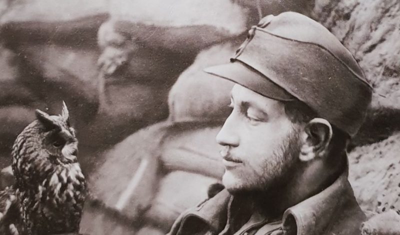 “Come cavalli che dormono in piedi” di Paolo Rumiz – Letteratura di viaggio