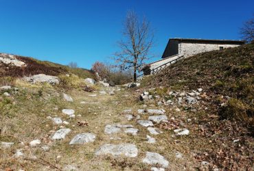 The Carsulae archaeological park – Terni