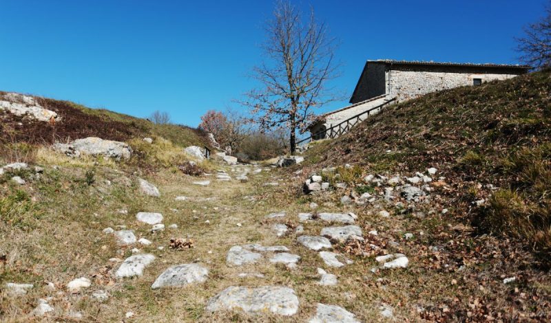 The Carsulae archaeological park – Terni