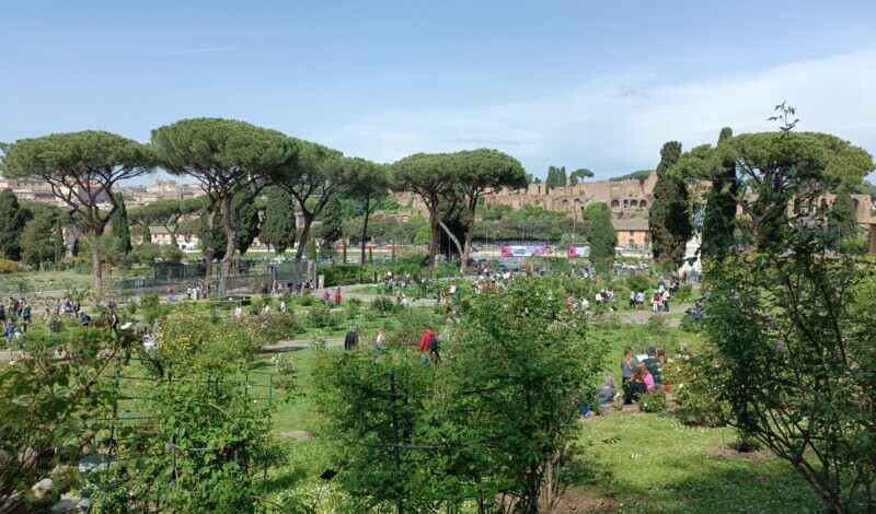 Il roseto comunale di Roma